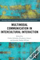 Multimodal Communication In Intercultural Interaction
