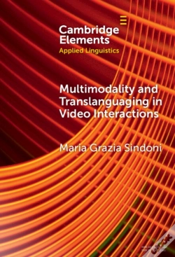 Capa do artigo Multimodality And Translanguaging In Video Interactions