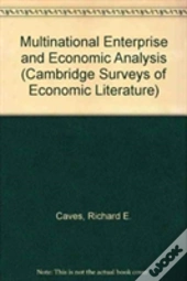 Multinational Enterprise And Economic Analysis