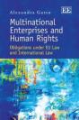 Multinational Enterprises And Human Rights - Preview
