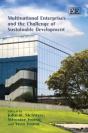 Multinational Enterprises And The Challenge Of Sustainable Development - Preview