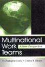 Multinational Work Teams - Preview