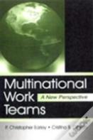 Multinational Work Teams