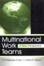 Multinational Work Teams - Preview