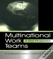 Multinational Work Teams