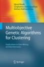 Multiobjective Genetic Algorithms For Clustering - Preview