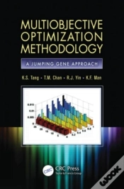 Capa do artigo Multiobjective Optimization Methodology