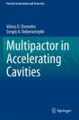 Multipactor In Accelerating Cavities - Preview