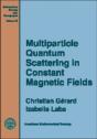 Multiparticle Quantum Scattering In Constant Magnetic Fields - Preview