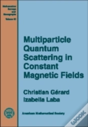 Capa do artigo Multiparticle Quantum Scattering In Constant Magnetic Fields