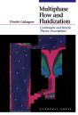Multiphase Flow And Fluidization - Preview