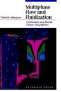 Multiphase Flow And Fluidization - Preview