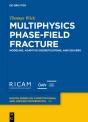 Multiphysics Phase-Field Fracture - Preview