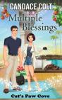 Multiple Blessings - Preview