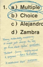 Multiple Choice - Preview