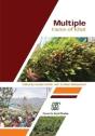 Multiple Faces Of Khat - Preview