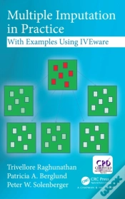 Capa do artigo Multiple Imputation In Practice