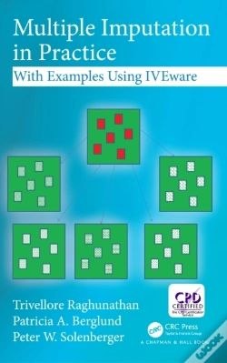 Capa do artigo Multiple Imputation In Practice