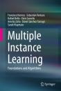 Multiple Instance Learning - Preview