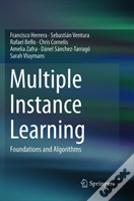 Multiple Instance Learning