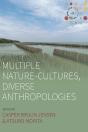 Multiple Nature-Cultures, Diverse Anthropologies - Preview