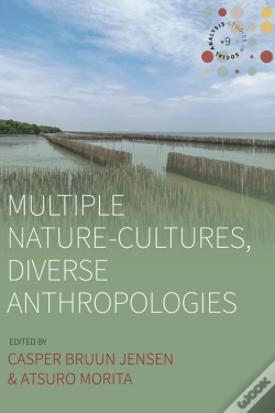 Capa do artigo Multiple Nature-Cultures, Diverse Anthropologies