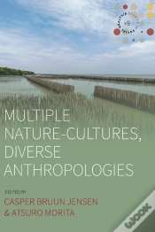 Capa do artigo Multiple Nature-Cultures, Diverse Anthropologies