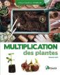 Multiplication Des Plantes - Preview