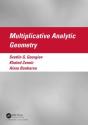Multiplicative Analytic Geometry - Preview