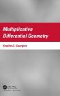 Multiplicative Differential Geometry - Preview