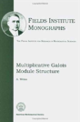 Multiplicative Galois Module Structure - Preview