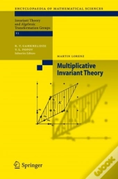 Multiplicative Invariant Theory