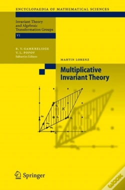 Capa do artigo Multiplicative Invariant Theory
