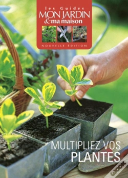 Capa do artigo Multiplier Vos Plantes