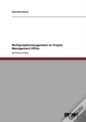 Multiprojektmanagement Im Project Management Office