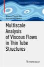 Multiscale Analysis Of Viscous Flows In Thin Tube Structures - Preview