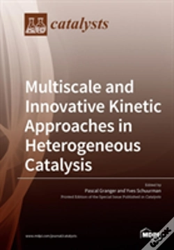 Capa do artigo Multiscale And Innovative Kinetic Approaches In Heterogeneous Catalysis
