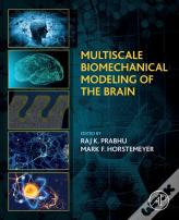 Multiscale Biomechanical Modeling Of The Brain