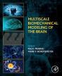 Multiscale Biomechanical Modeling Of The Brain - Preview