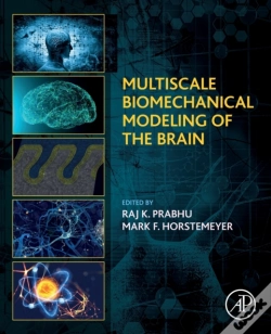 Capa do artigo Multiscale Biomechanical Modeling Of The Brain
