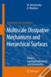 Capa do artigo Multiscale Dissipative Mechanisms And Hierarchical Surfaces