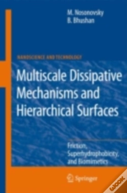 Capa do artigo Multiscale Dissipative Mechanisms And Hierarchical Surfaces