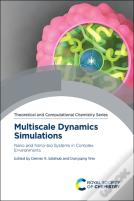 Multiscale Dynamics Simulations