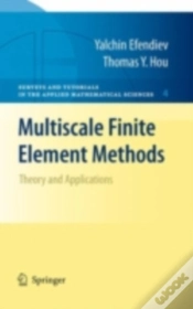 Capa do artigo Multiscale Finite Element Methods