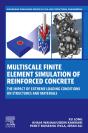 Multiscale Finite Element Simulation Of Reinforced Concrete - Preview