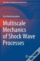 Multiscale Mechanics Of Shock Wave Processes