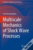 Multiscale Mechanics Of Shock Wave Processes