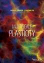 Multiscale Metal Plasticity - Preview