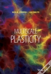 Multiscale Metal Plasticity