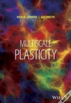 Capa do artigo Multiscale Metal Plasticity